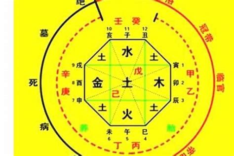 八字 十神|生辰八字算命、五行喜用神查询（免费测算）